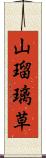 山瑠璃草 Scroll