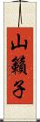 山籟子 Scroll