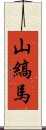 山縞馬 Scroll