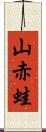 山赤蛙 Scroll