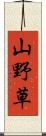 山野草 Scroll