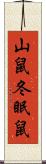 山鼠 Scroll