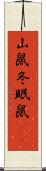 山鼠 Scroll