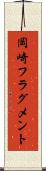 岡崎フラグメント Scroll