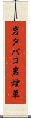 岩タバコ Scroll