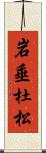 岩垂杜松 Scroll