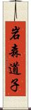 岩森道子 Scroll