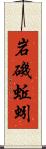 岩磯蚯蚓 Scroll