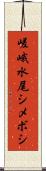 嵯峨水尾シメボシ Scroll