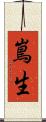 嶌生 Scroll