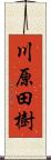 川原田樹 Scroll