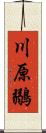 川原鶸 Scroll