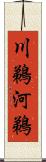 川鵜 Scroll
