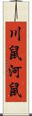川鼠 Scroll