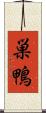 巣鴨 Scroll