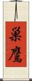 巣鷹 Scroll
