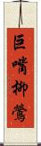 巨嘴柳鶯 Scroll