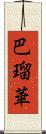 巴瑠華 Scroll