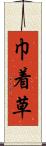 巾着草 Scroll