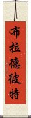 布拉德·彼特 Scroll