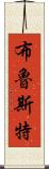 Brewster Scroll