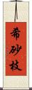 希砂枝 Scroll