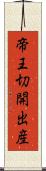 帝王切開出産 Scroll