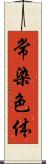 常染色体 Scroll