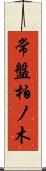 常盤柏ノ木 Scroll