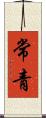 常青 Scroll