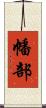 幡部 Scroll