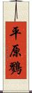 平原鷚 Scroll