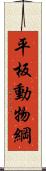 平板動物綱 Scroll