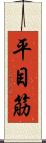 平目筋 Scroll