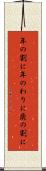 年の割に Scroll