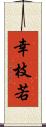 幸枝若 Scroll