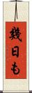 幾日も Scroll