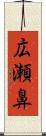 広瀬鼻 Scroll