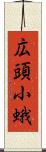 広頭小蛾 Scroll