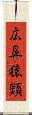広鼻猿類 Scroll