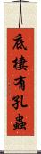 底棲有孔蟲 Scroll