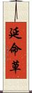 延命草 Scroll
