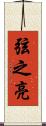 弦之亮 Scroll