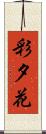 彩夕花 Scroll