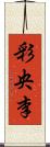 彩央李 Scroll