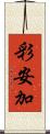 彩安加 Scroll