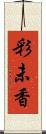 彩未香 Scroll
