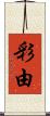 彩由 Scroll