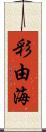 彩由海 Scroll