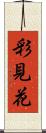 彩見花 Scroll